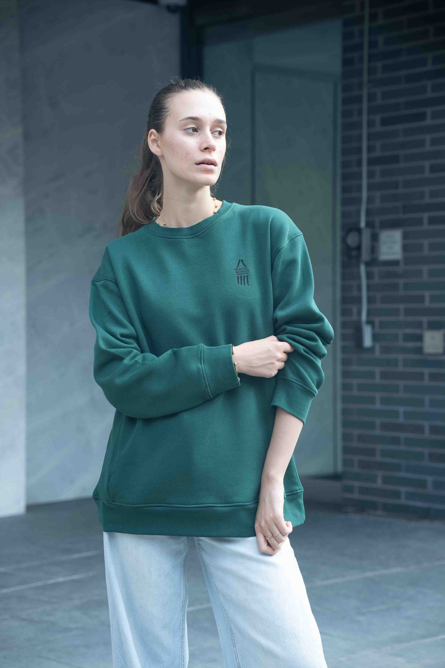 Tribal Sweat Shirt - 234tribe
